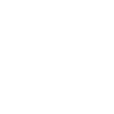 vaio